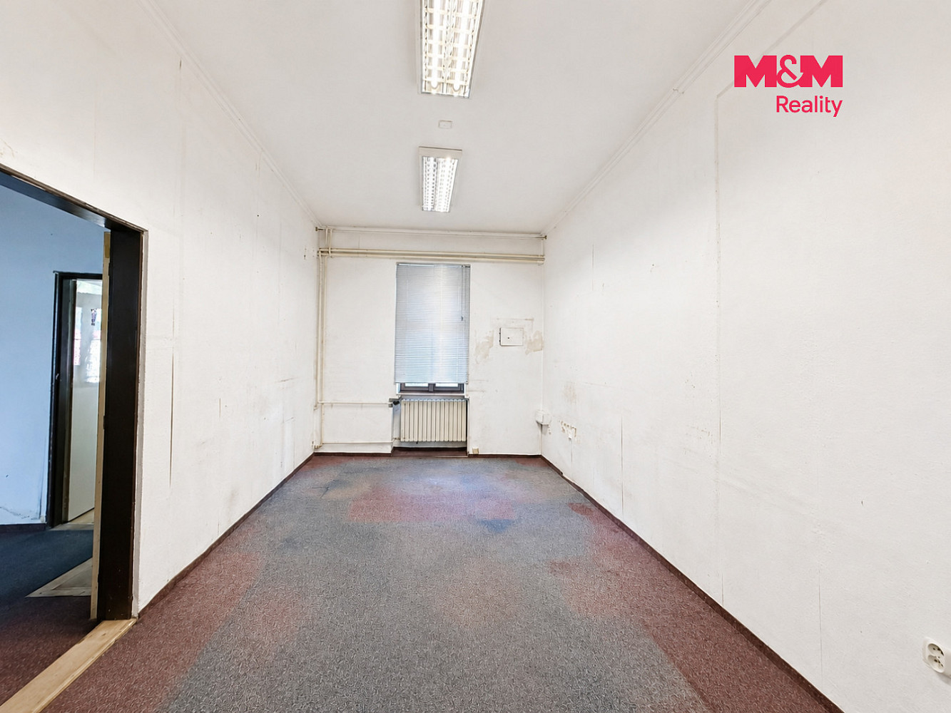 Pronájem kanceláře 63 m² — photo 3