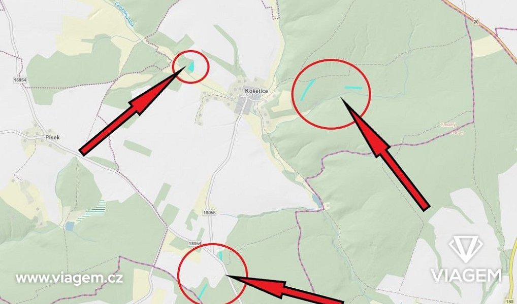 Prodej lesa 2 059 m², Líšťany – náhled fotky 6