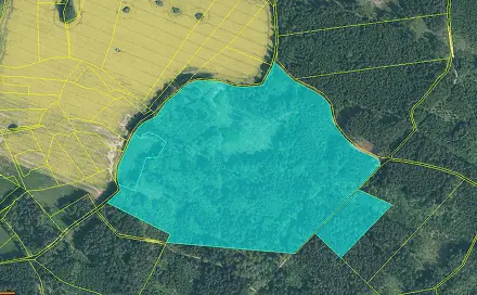 Prodej lesa 154 293 m², Milevsko - Klisín, okres Písek