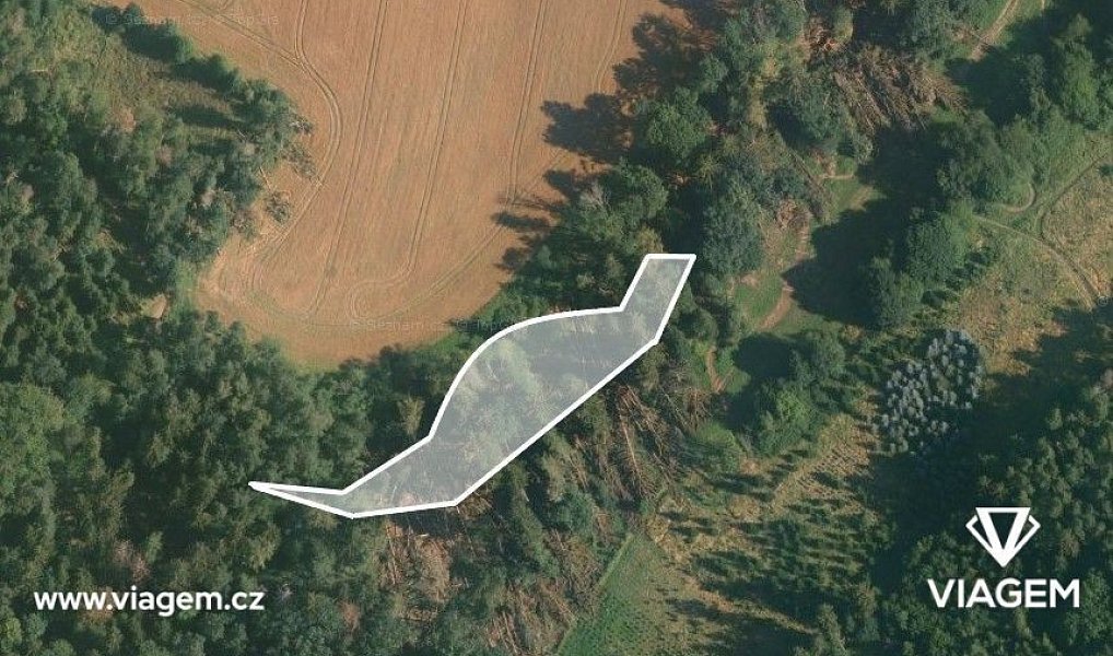 Prodej lesa 1 886 m², Neveklov – náhled fotky 2