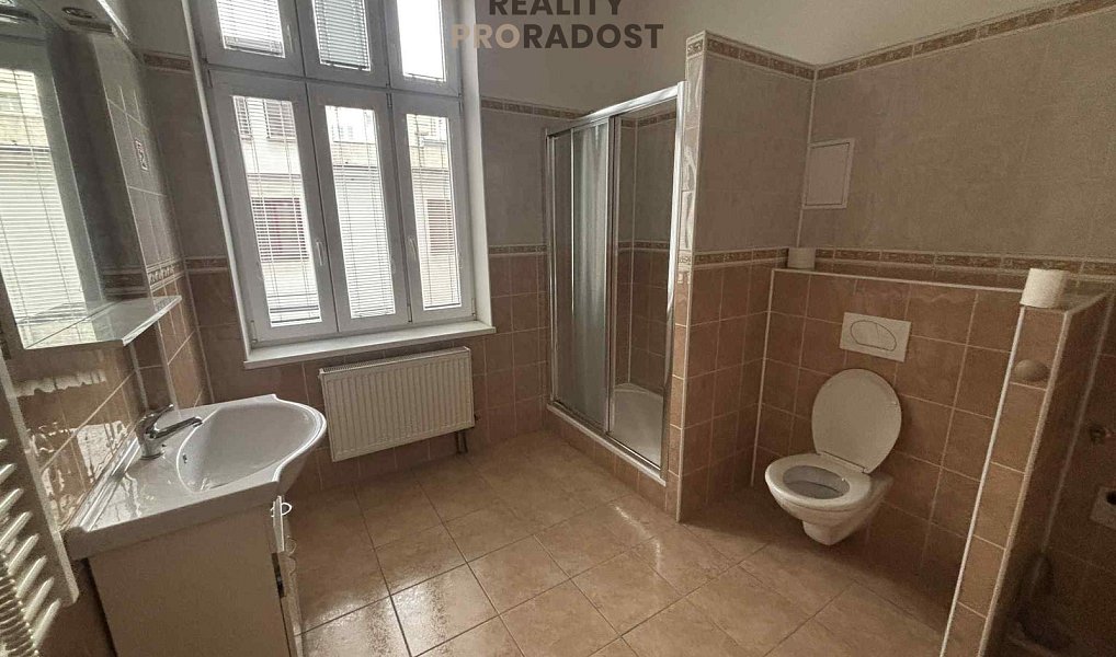 Pronájem bytu 1+kk 46 m², Ostrava – náhled fotky 5