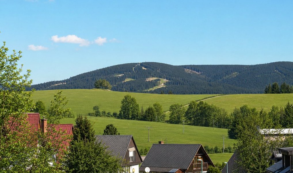 Pronájem bytu 2+1 54 m², Rokytnice v Orlických horách – náhled fotky 10