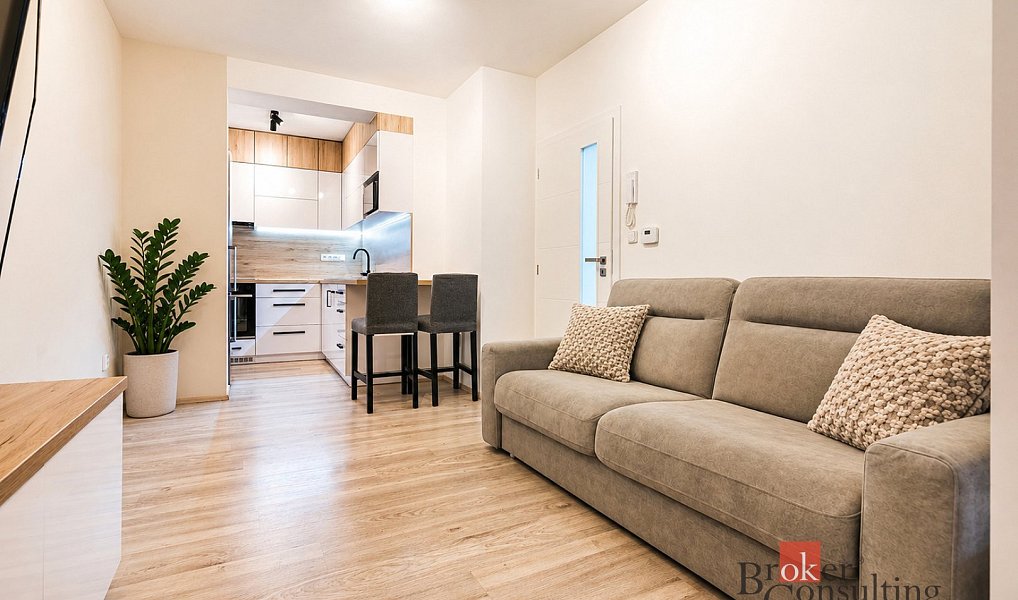 Prodej bytu 1+kk 42 m², Brno – náhled fotky 2