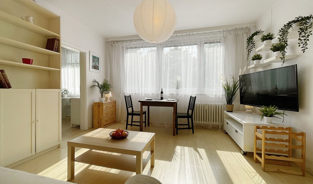 Prodej bytu 2+1 45 m², Praha – náhled fotky 6
