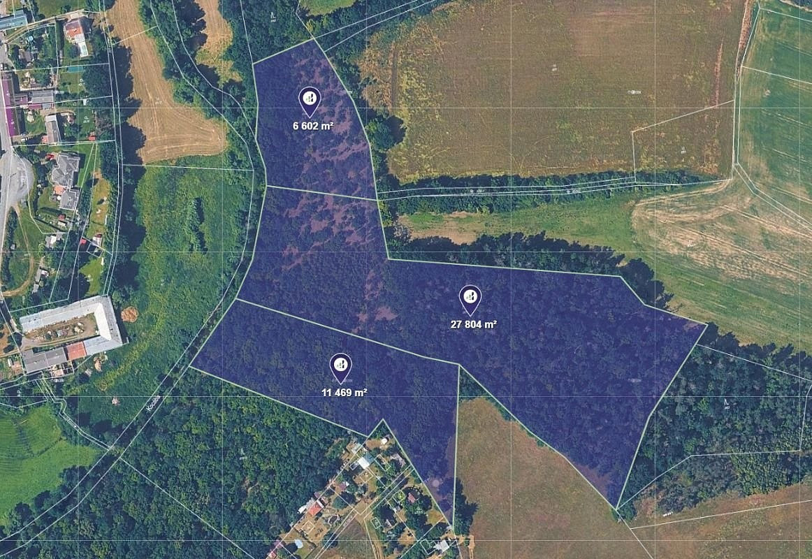 Prodej lesa 48 389 m²
