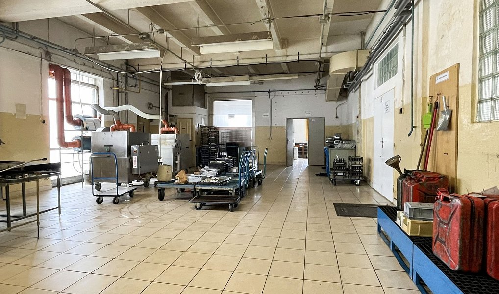 Prodej výrobních prostor 10 000 m², Batelov – náhled fotky 4