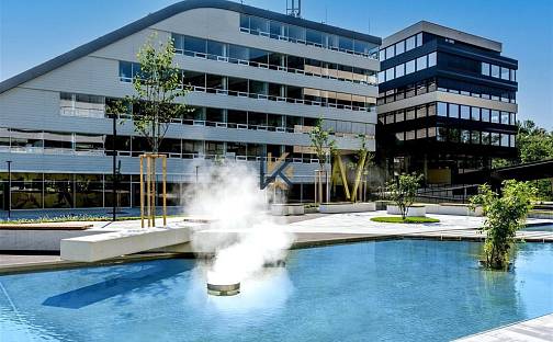 Pronájem kanceláře 1 379 m², Smrčkova, Praha 8 - Libeň, okres Praha