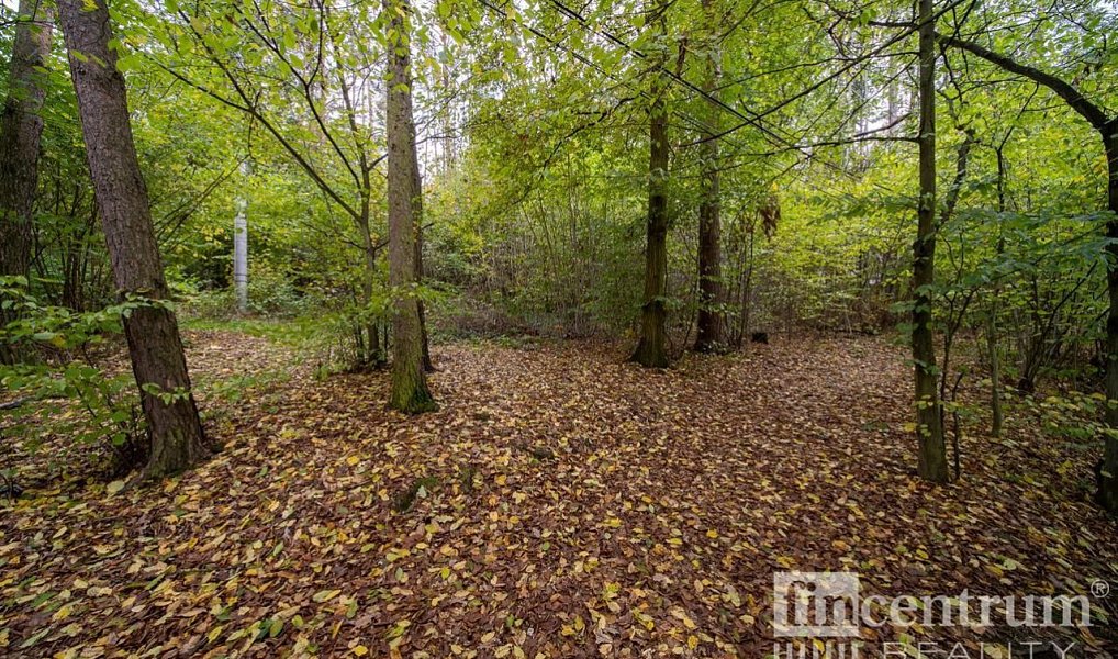 Prodej lesa 2 256 m², Slapy – náhled fotky 3