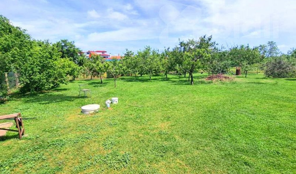 Prodej domu 100 m² s pozemkem 1 313 m², Čejkovice – náhled fotky 8