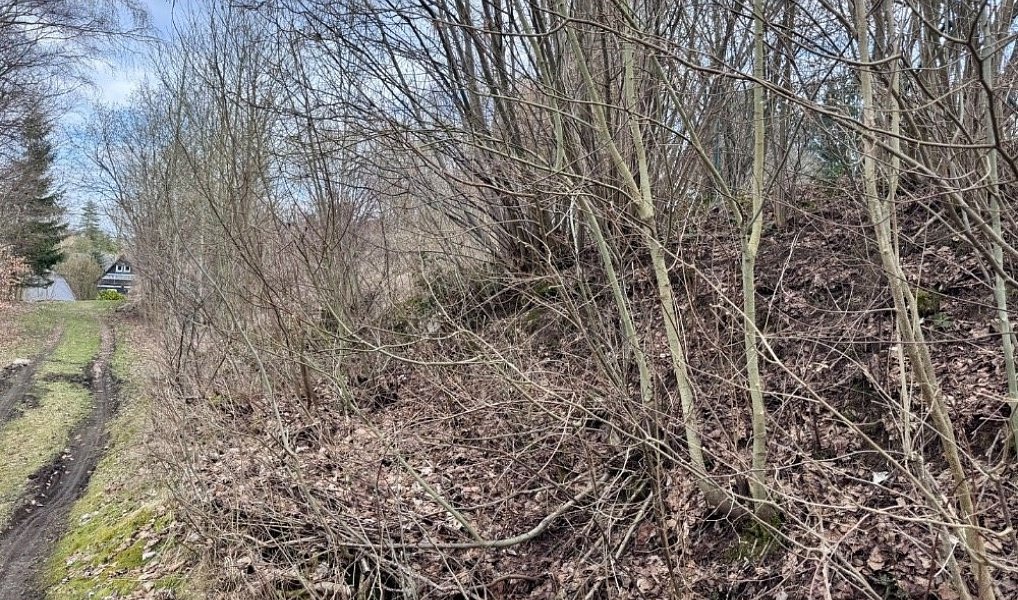 Prodej stavebního pozemku 254 m², Krásná Lípa – náhled fotky 7