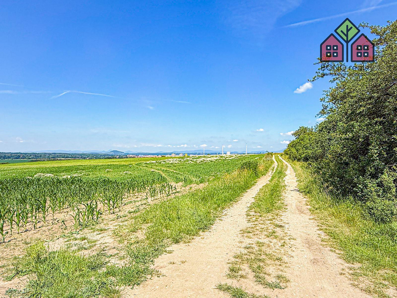 Prodej pole 41 291 m² – fotografie 5