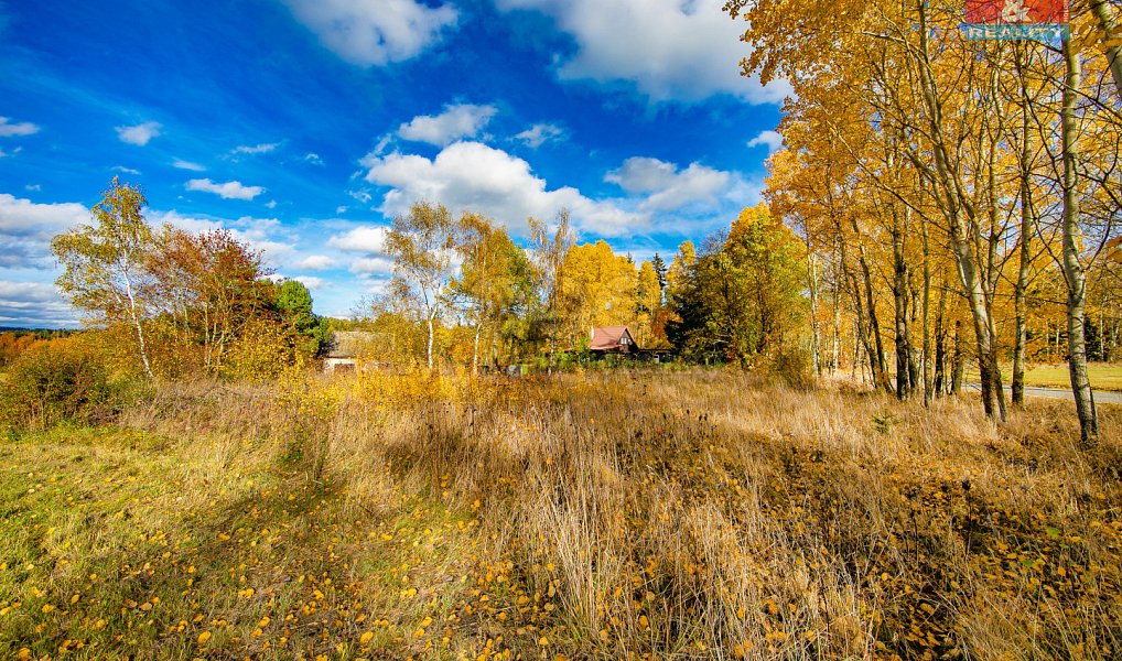 Prodej louky 1 072 m², Krsy – náhled fotky 7
