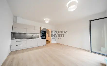 Pronájem bytu 1+kk 37 m²
