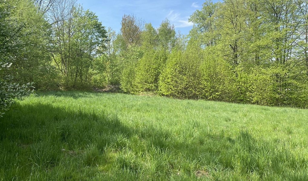 Prodej komerčního pozemku 2 866 m², Liberec – náhled fotky 5