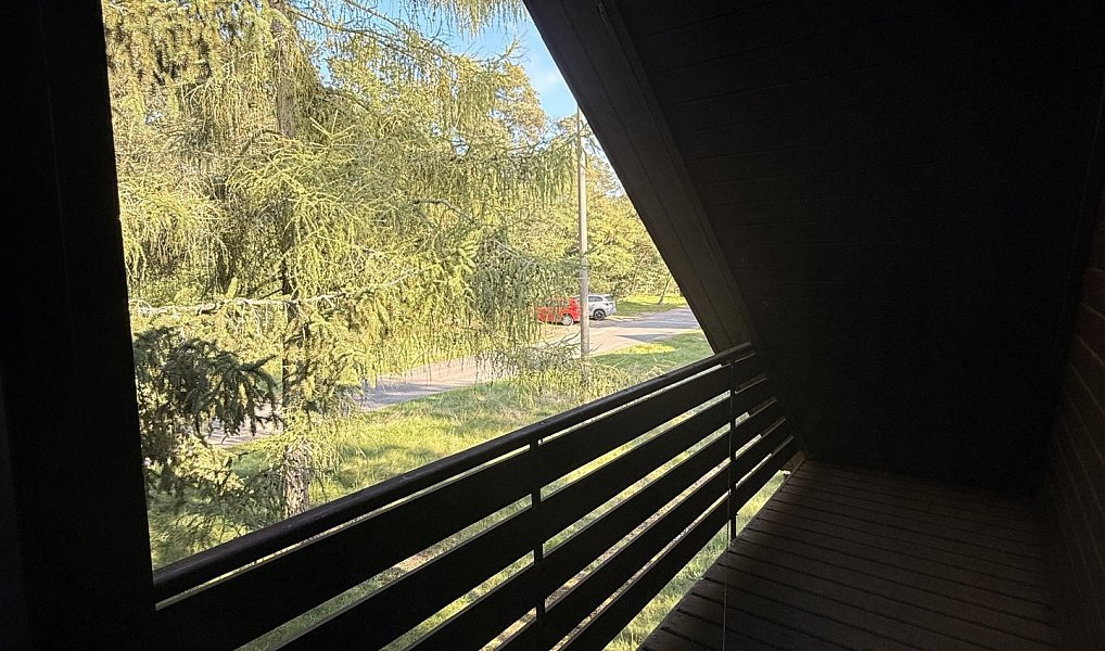 Prodej chaty/chalupy 180 m² s pozemkem 894 m², Račice – náhled fotky 22