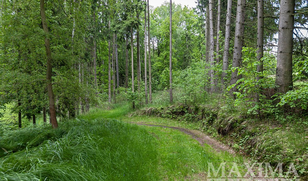 Prodej pole 14 573 m², Višňová – náhled fotky 6