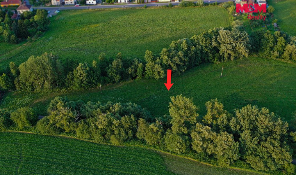 Prodej louky 4 590 m², Horní Bříza – náhled fotky 17