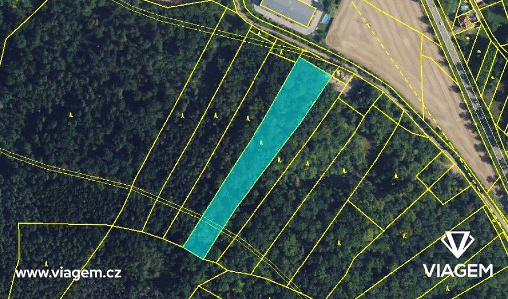Prodej lesa 6 135 m², Štěpánovice – náhled fotky 3