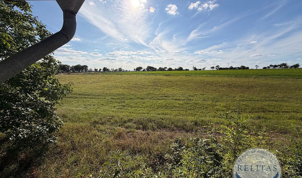 Prodej stavebního pozemku 8 592 m², Kokořín – náhled fotky 9