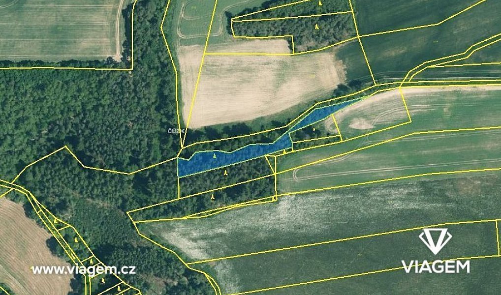 Prodej lesa 2 437 m², Šípy – náhled fotky 3