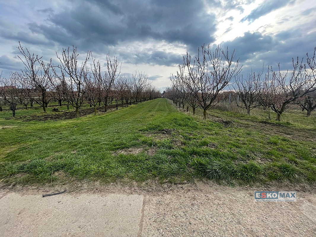 Prodej stavebního pozemku 1 491 m² – fotografie 5