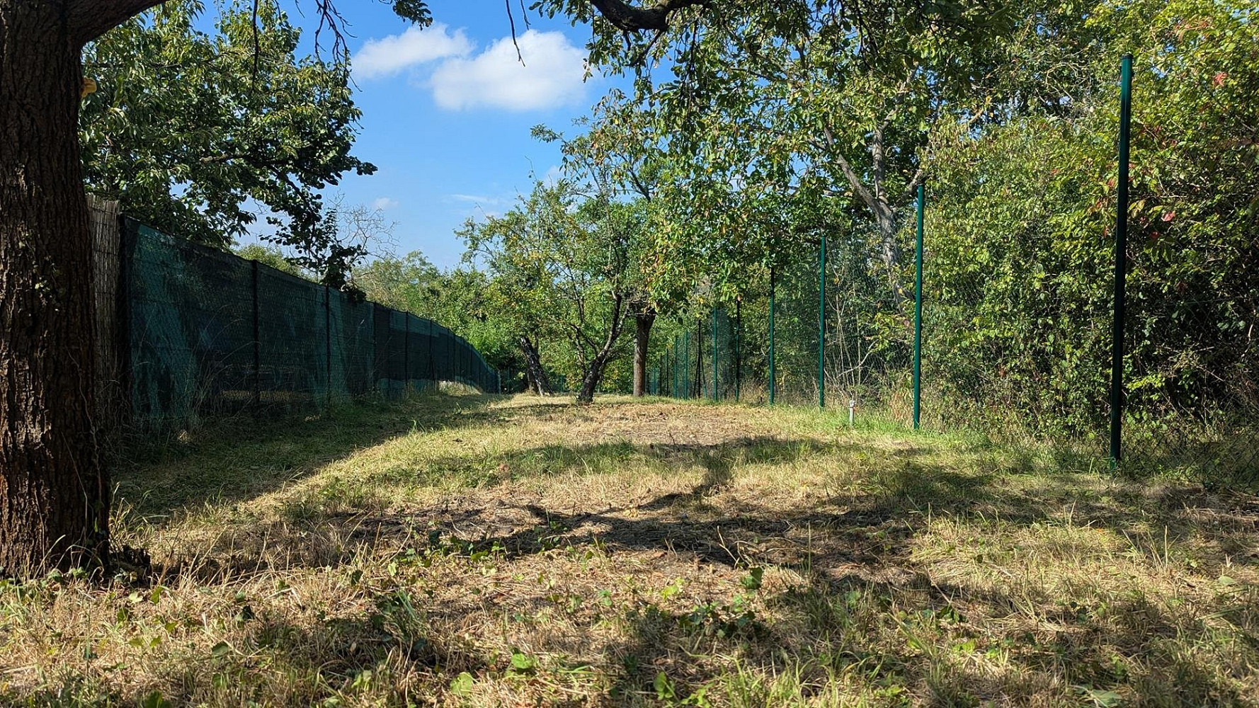 Prodej zahrady 319 m²