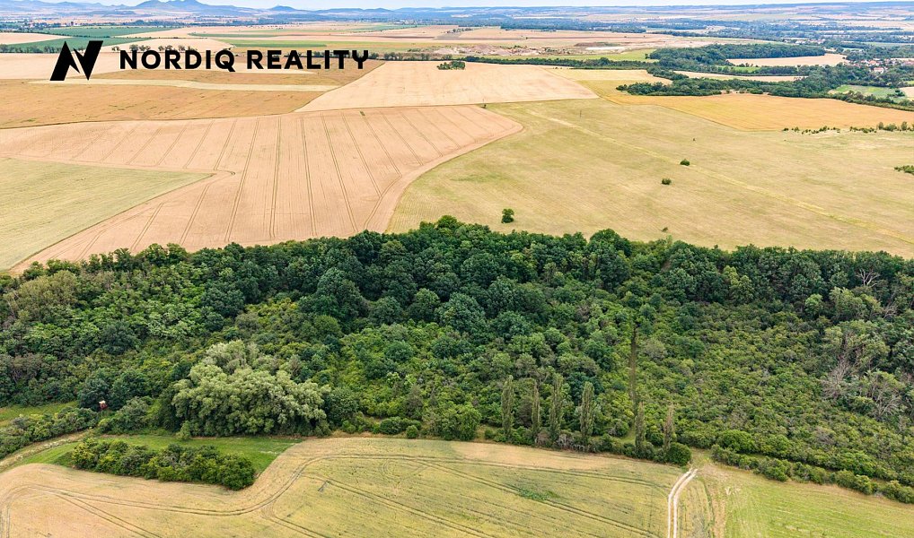 Prodej pole 2 841 m², Staňkovice – náhled fotky 9