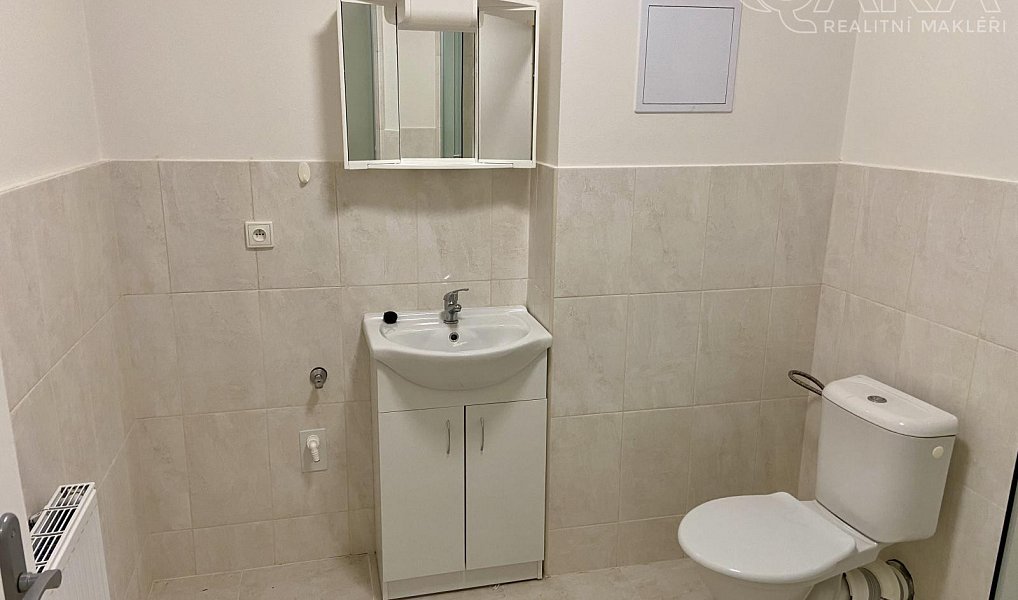 Pronájem bytu 1+kk 30 m², Ivanovice na Hané – náhled fotky 10