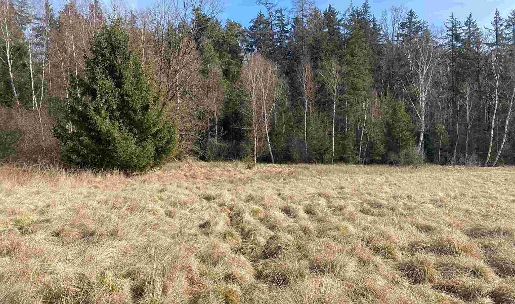 Prodej pole 15 408 m², Františkovy Lázně – náhled fotky 6