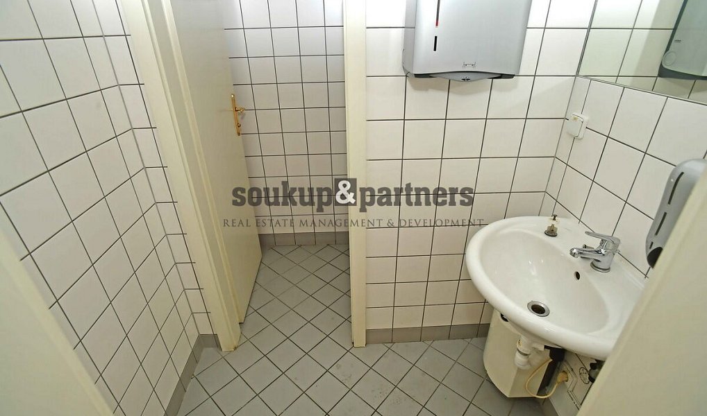 Pronájem kanceláře 210 m², Praha – náhled fotky 12