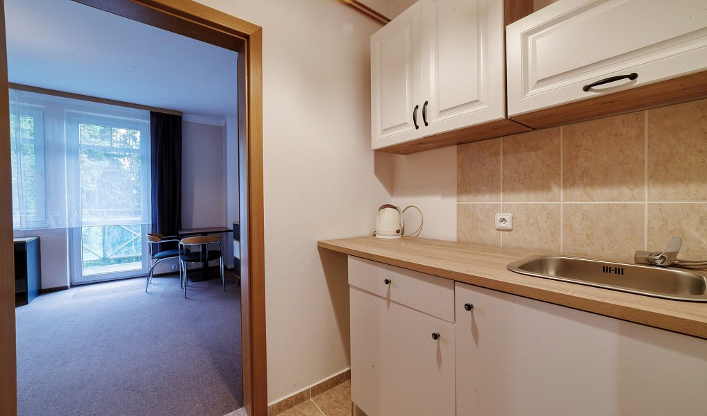 Prodej restaurace 899 m², Mariánské Lázně – náhled fotky 18