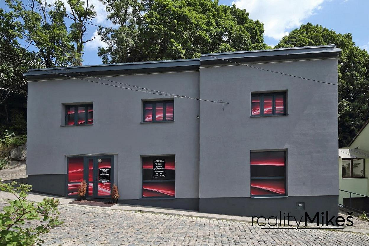 Pronájem obchodních prostor 351 m² - Widok 3