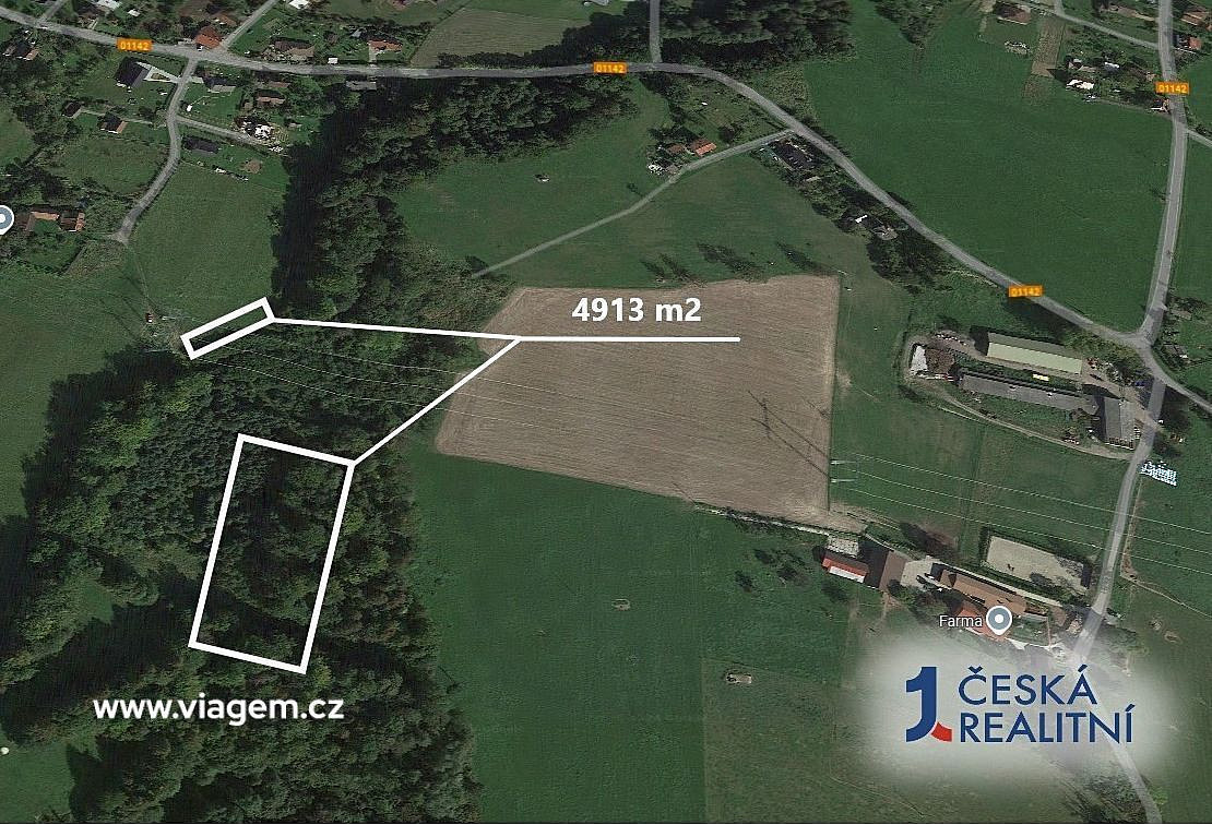 Prodej lesa 982 m² – fotografie 2