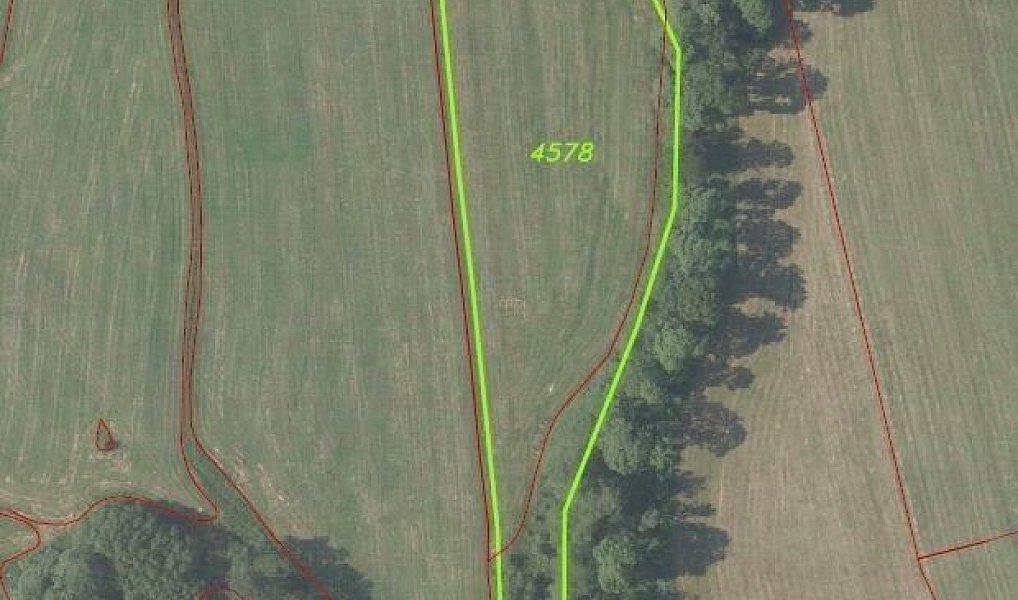 Prodej pole 50 580 m², Staré Křečany – náhled fotky 7
