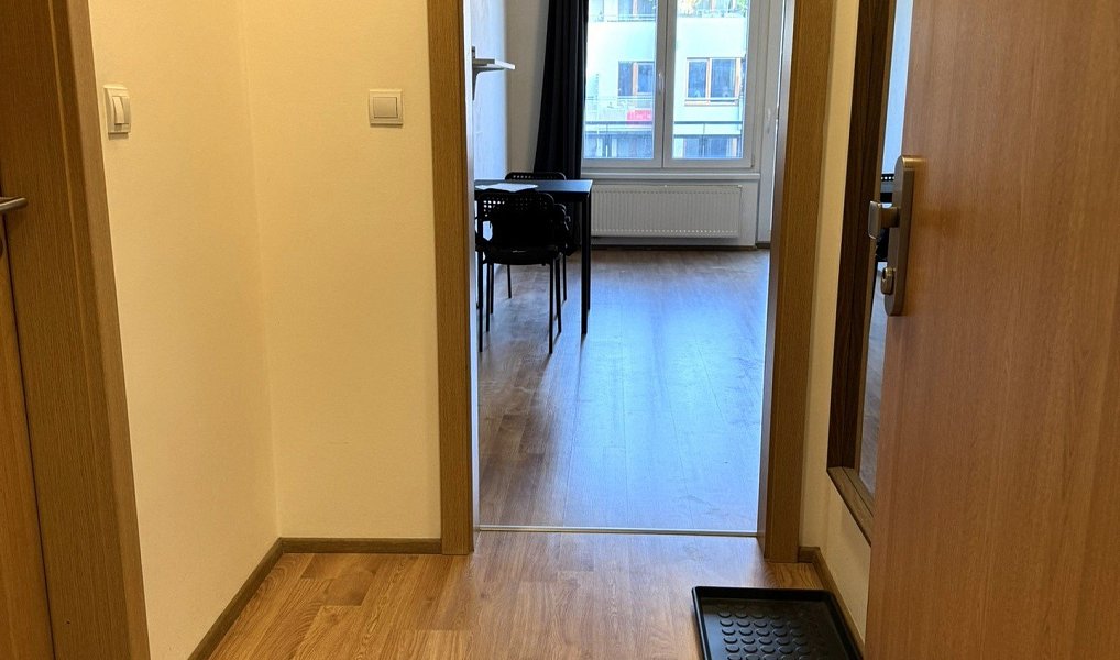 Pronájem bytu 1+kk 41 m², Praha – náhled fotky 5
