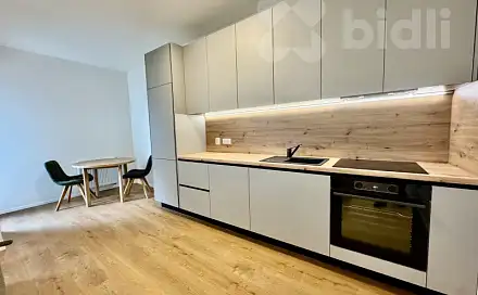 Pronájem bytu 1+kk 47 m², Ghegova, Brno - Staré Brno