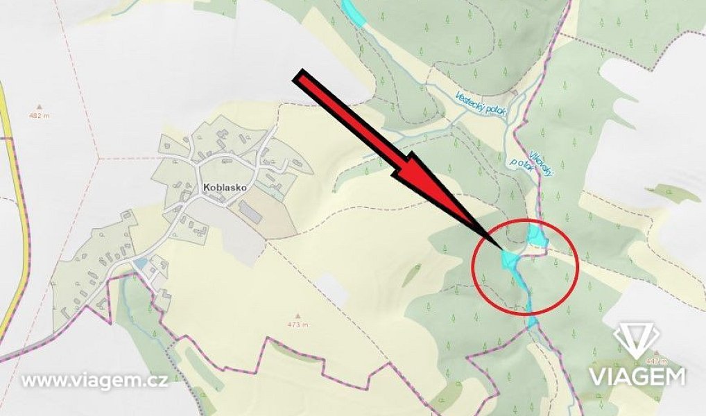 Prodej lesa 6 015 m², Zbizuby – náhled fotky 4