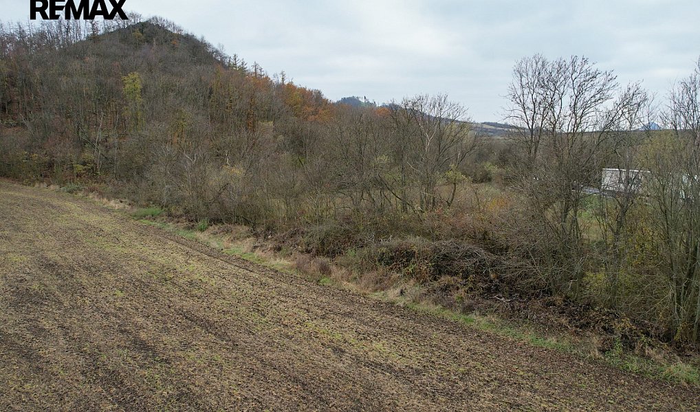 Prodej pozemku 729 m², Želkovice – náhled fotky 8