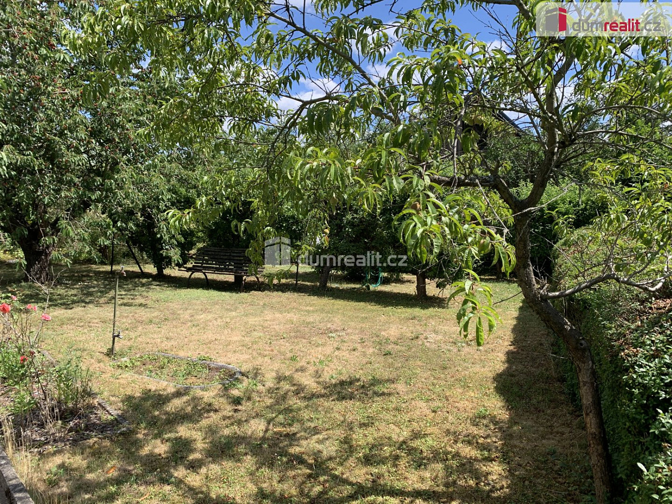 Prodej chaty/chalupy 20 m² – fotografie 5