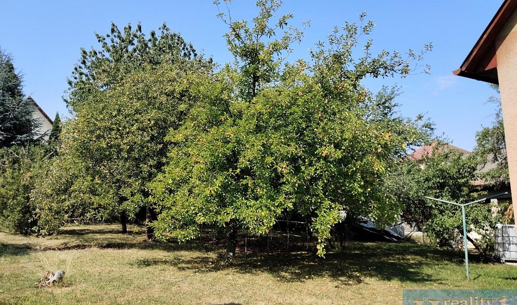 Prodej domu 213 m² s pozemkem 736 m², Pelhřimov – náhled fotky 18