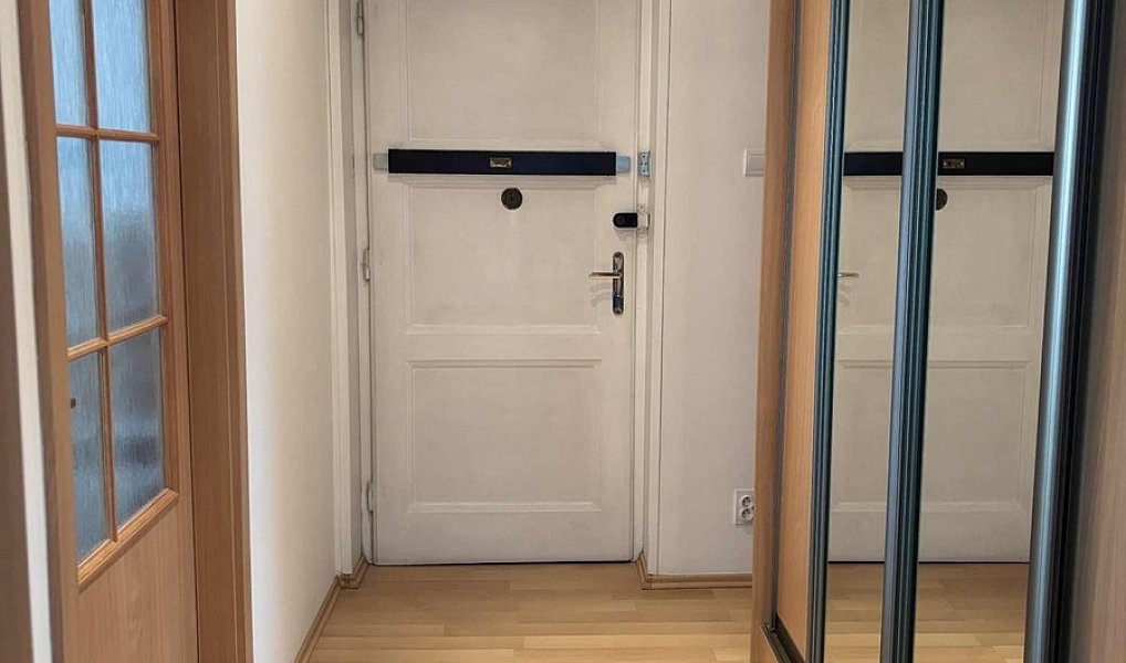 Pronájem bytu 1+kk 46 m², Ostrava – náhled fotky 4