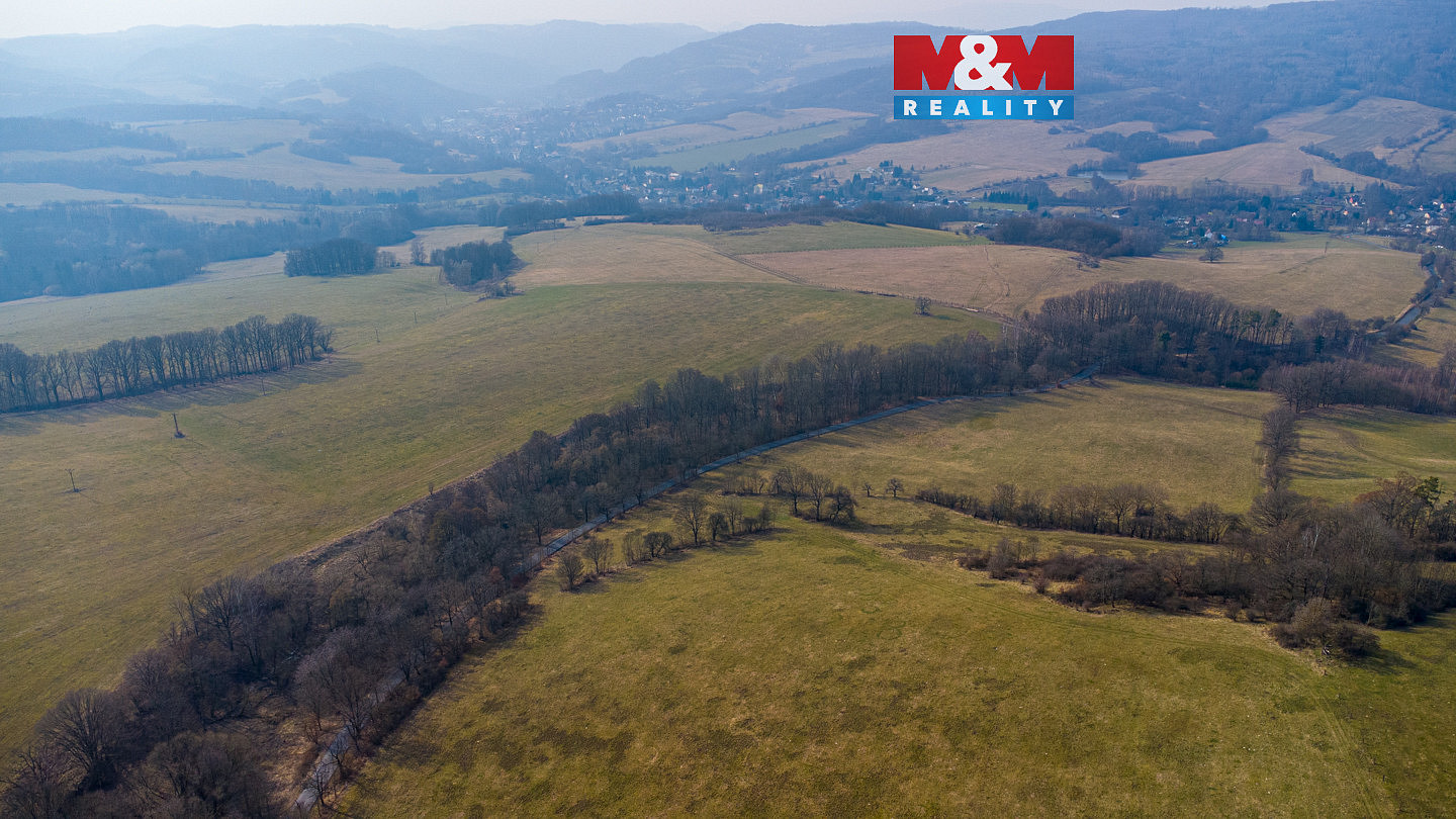 Prodej lesa 10 293 m²