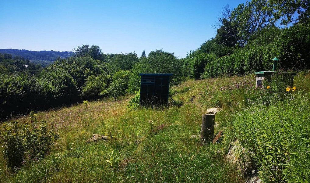 Prodej zahrady 3 146 m², Česká Třebová – náhled fotky 8