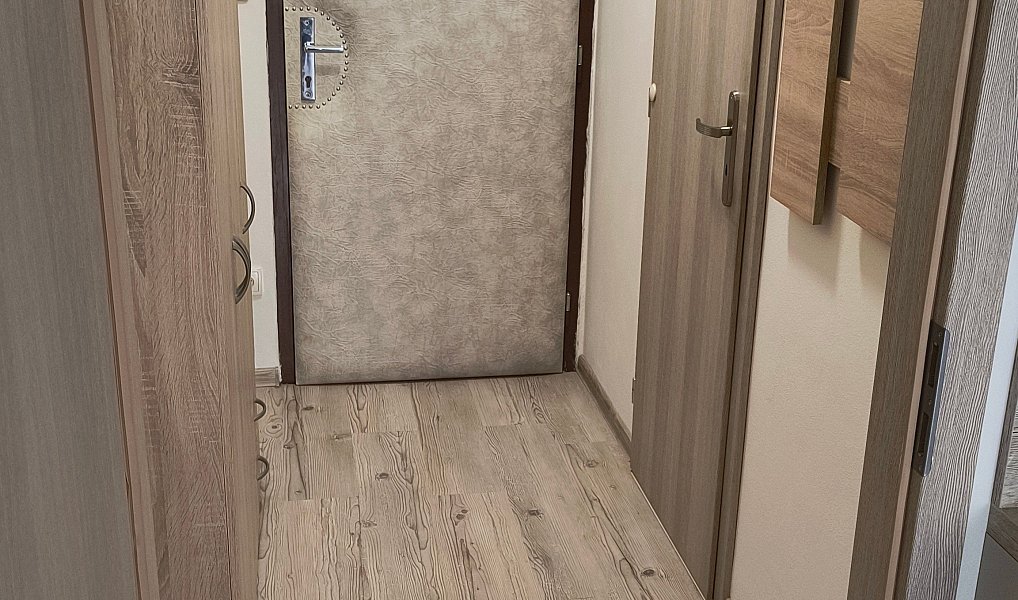 Prodej bytu 1+kk 31 m², České Budějovice – náhled fotky 6