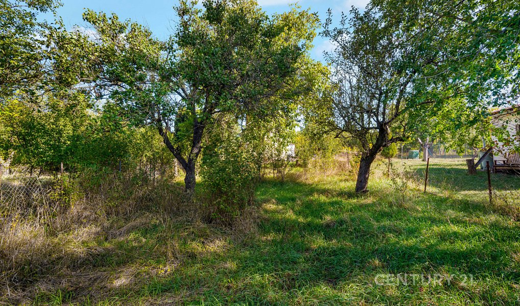 Prodej chaty/chalupy 26 m² s pozemkem 358 m², Brno – náhled fotky 12