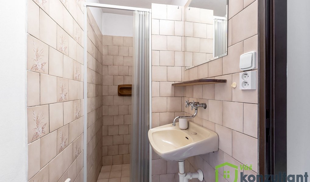 Prodej domu 220 m² s pozemkem 360 m², Bedihošť – náhled fotky 18