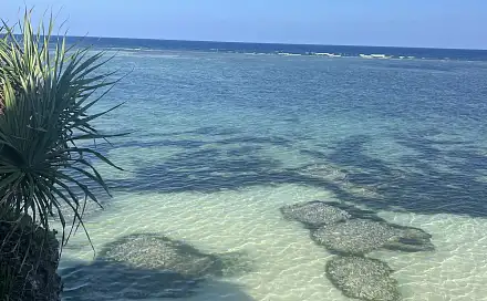 Prodej domu 216 m² s pozemkem 446 m², Zanzibar, Tanzánie