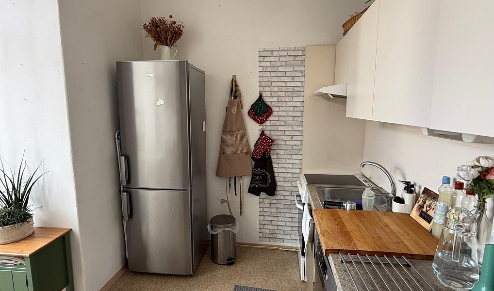 Pronájem bytu 2+1 64 m², Tábor – náhled fotky 9