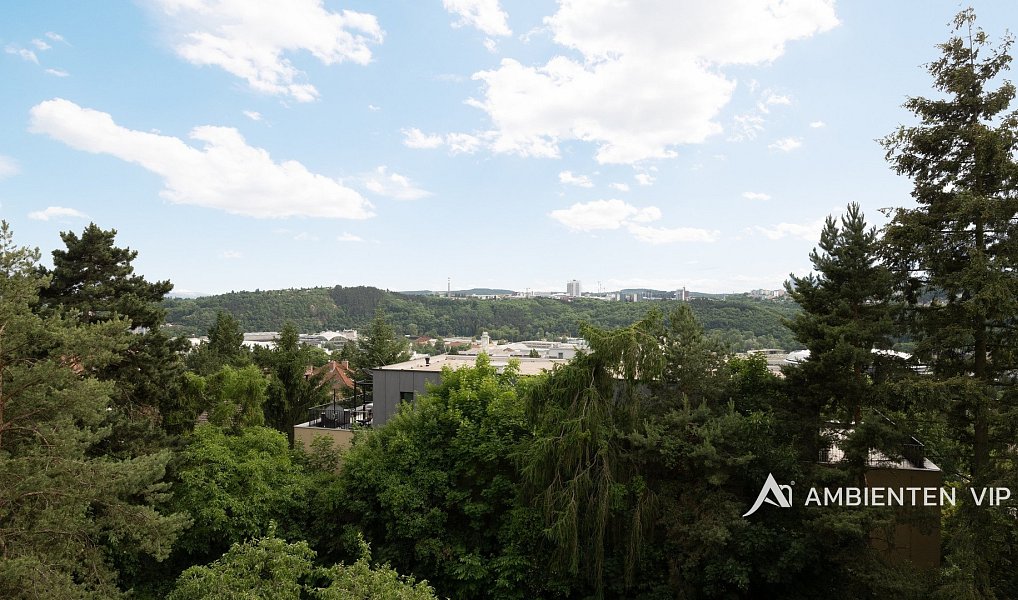Prodej bytu 3+1 69 m², Brno – náhled fotky 17