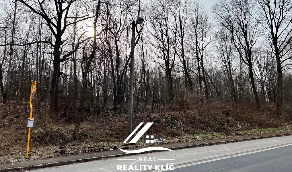 Prodej pole 15 421 m², Markvartovice – náhled fotky 3